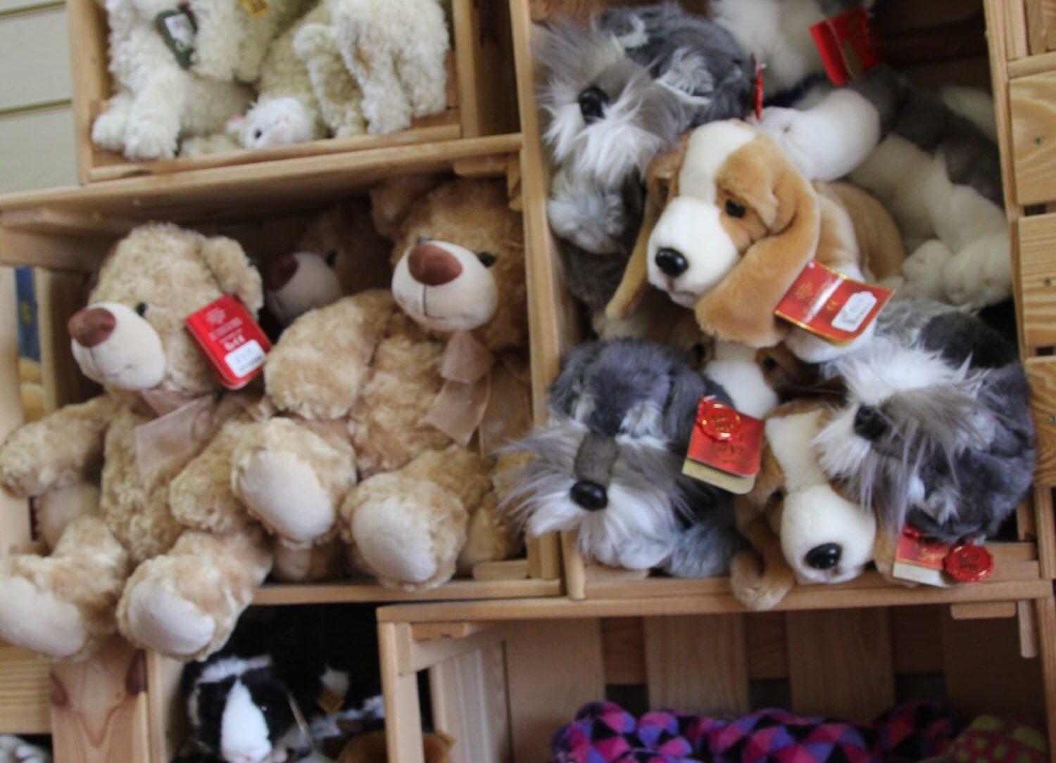 Teddies on Shelves